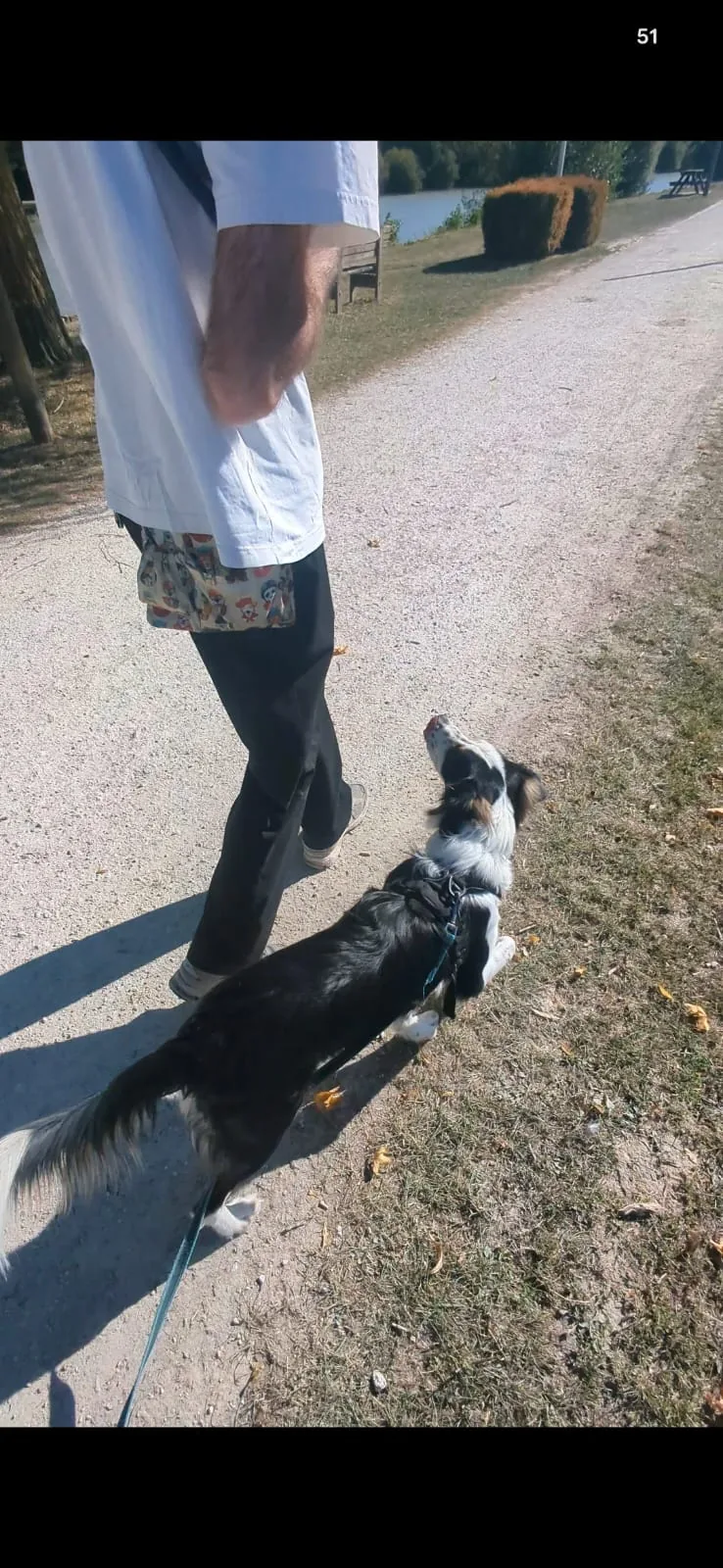 Chloé et un chien en balade sur un chemin