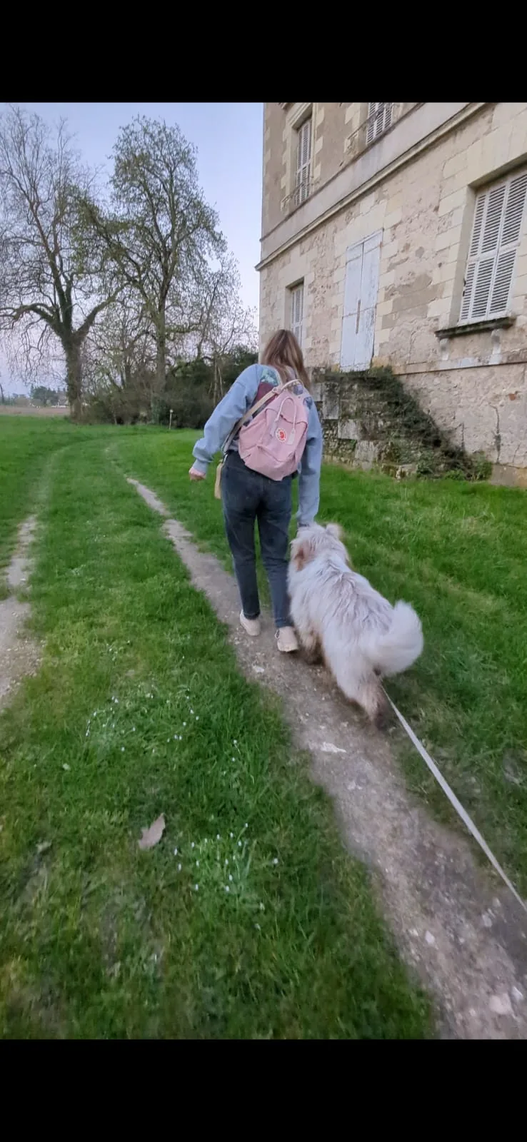 Chloé en balade détendue en laisse avec un Border Collie près de Tours