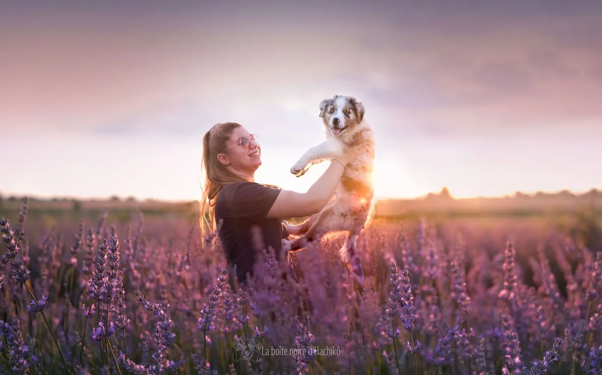 Chloé et un chien dans un champ de lavande au coucher du soleil