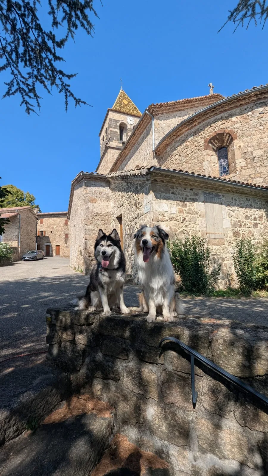 Deux chiens en sortie découverte devant une église